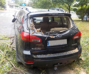 Złamana gałąź zniszczyła samochody