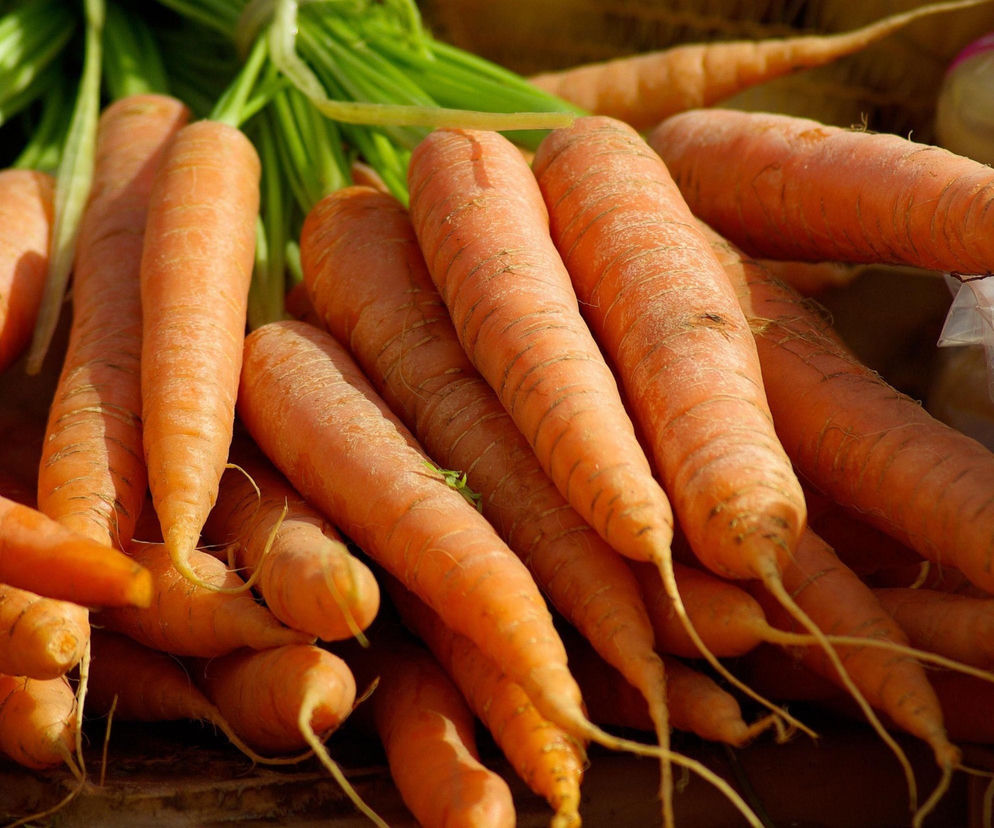 Warzywa z warszawskich działek nie do zjedzenia? Eksperci pokazali wyniki badań