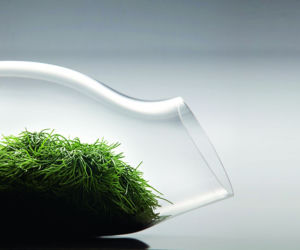 Szklarnie GLASS GARDEN