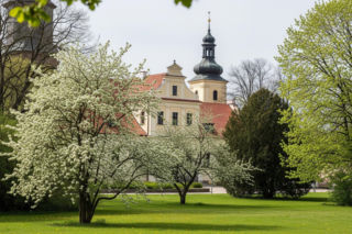Siedlce z The Office PL. Czy to mazowieckie miasto jest tylko tłem dla fikcyjnej Kropliczanki?