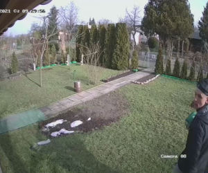Gliwice: Okradł altankę działkową. Został nagrany jak ucieka z czteropakiem piwa. Rozpoznajesz go? [ZDJĘCIA]