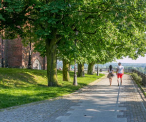 Powiew nowoczesności, stare zabytki czy otoczenie przyrody? Najlepsze miejsca w Płocku na długi spacer [GALERIA}