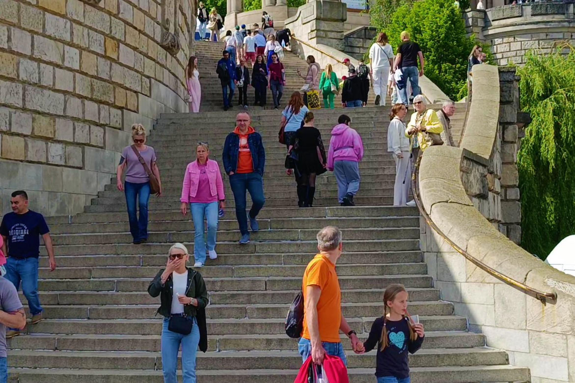 Piknik nad Odrą