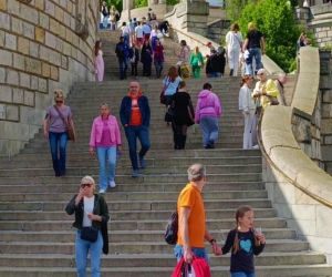 Piknik nad Odrą