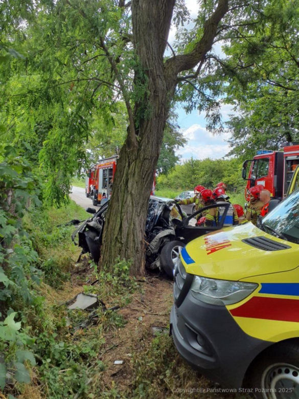 Śmiertelny wypadek pod Skierniewicami. 68-latek uderzył w drzewo [ZDJĘCIA].