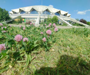 Hala Arena w Poznaniu