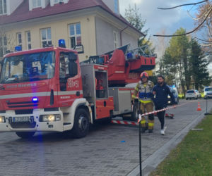 Próbna ewakuacja w zamojskim rolniczaku