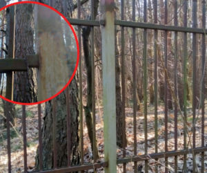 Miłośnik metalurgii nie mógł oprzeć się... ogrodzeniu. Zabrał je ze sobą!