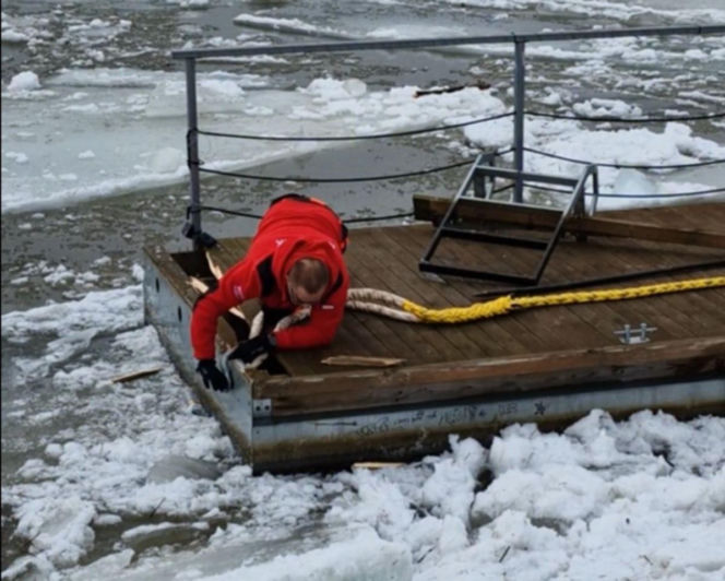 Lodołamacze na Wiśle w Toruniu. Trwa akcja kruszenia lodu