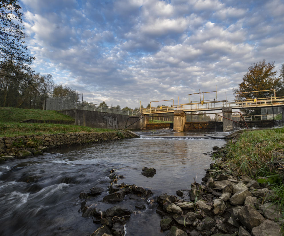 Woda to prawo, a nie przywilej.  Dlaczego płeć ma znaczenie w walce o zasoby?