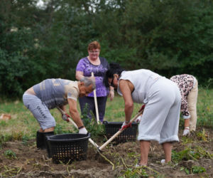 3. odcinek Sanatorium miłości