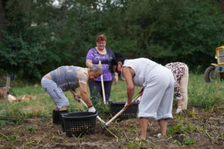 3. odcinek Sanatorium miłości