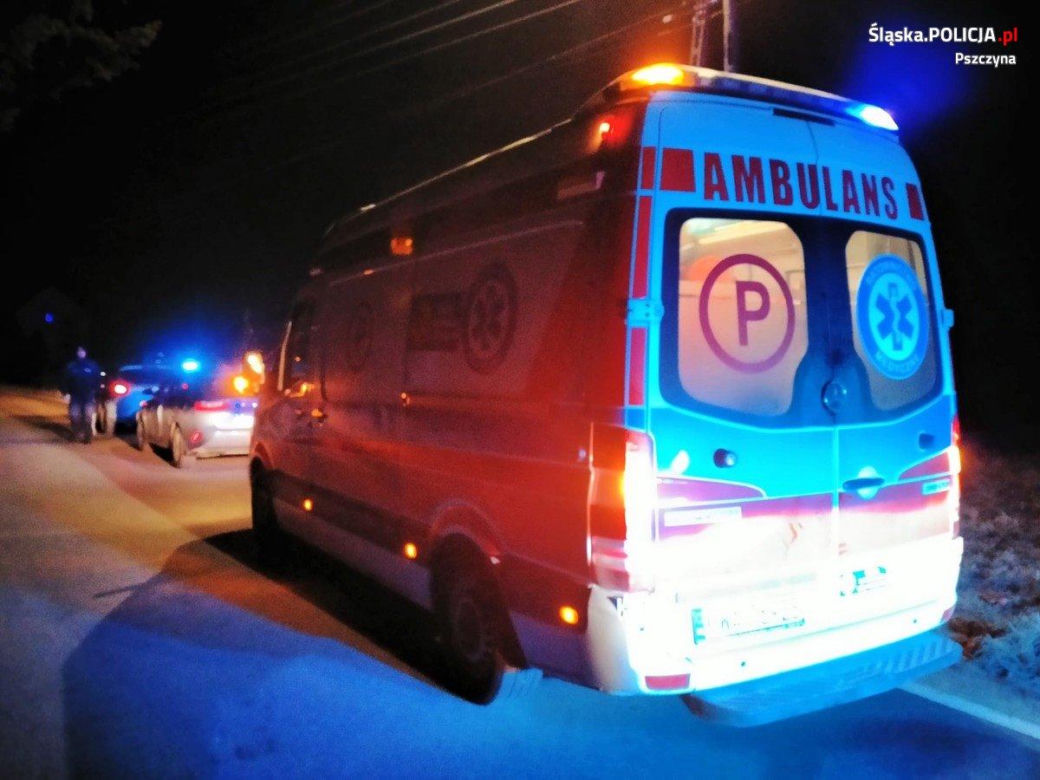 Groza na Śląsku. 14-latka wyszła z domu i zniknęła, szukały jej służby i zrozpaczeni rodzice. Dziewczynkę znaleziono w lesie