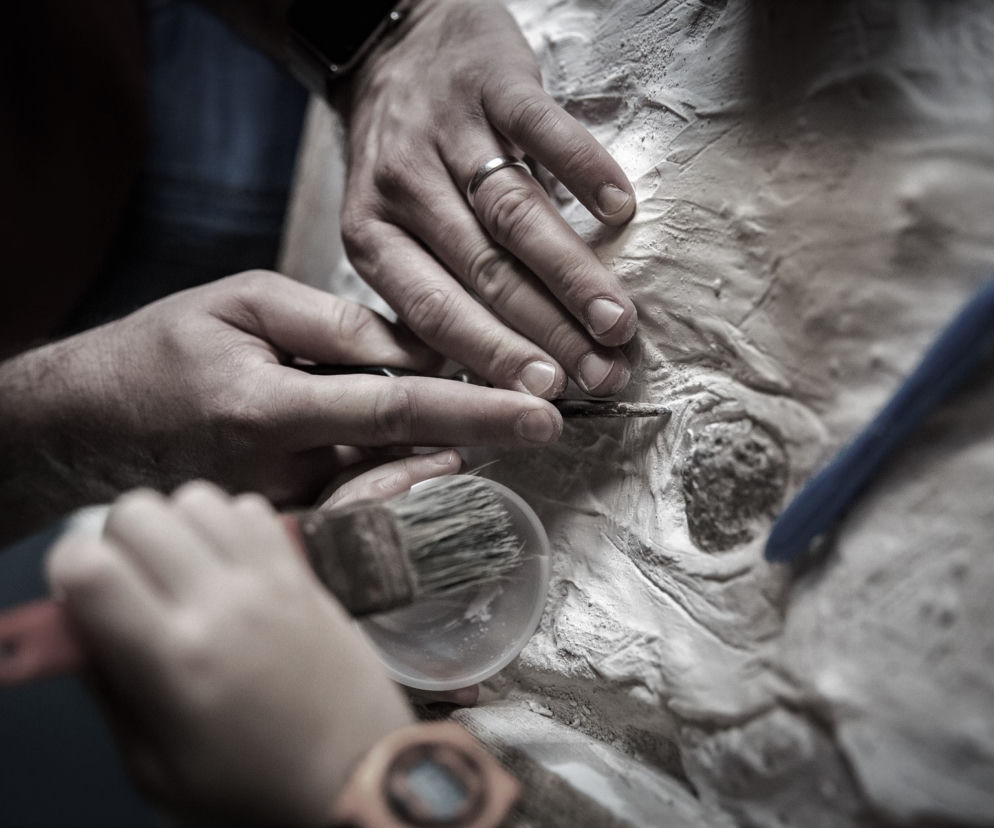 Paleontologia
