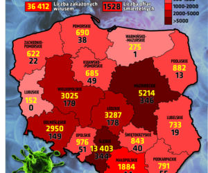 Koronawirus w Polsce [RAPORT 07.07.2020]