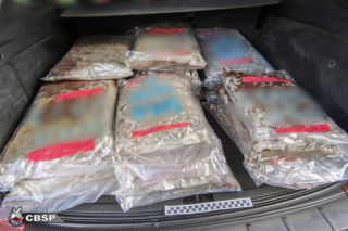 Akcja CBŚP jak z filmów! Wielkie pieniądze, broń, zegarki i narkotyki, które odurzyłyby pół Polski