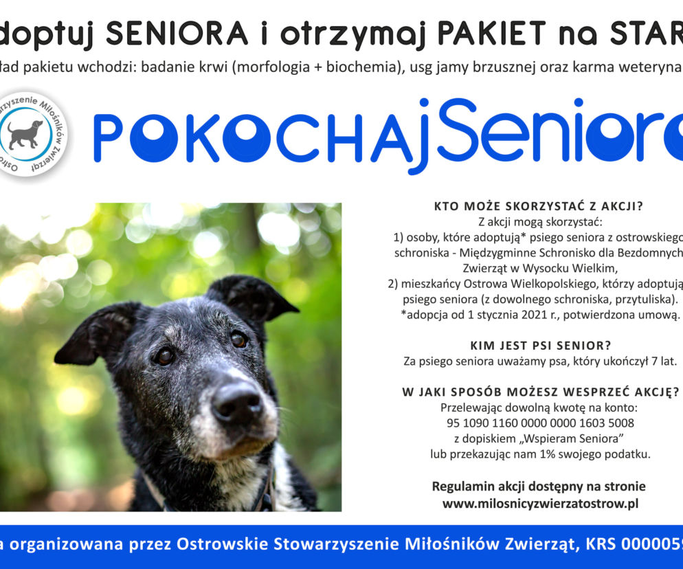 adoptuj seniora