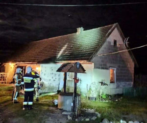 Supraśl. Strażacy OSP ściągnęli kaczkę z dachu