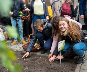 Fundacja Pomóż Im. Po raz dziesiąty zaczęli siać Pola Nadziei [ZDJĘCIA]