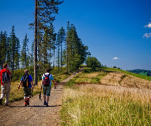 Wakacje u źródeł. Tak Wisła zachęca turystów. Znajdziemy tu piękne górskie szlaki, spokojne leśne ścieżki, trasy rowerowe i wiele, wiele więcej [WIDEO, ZDJĘCIA]
