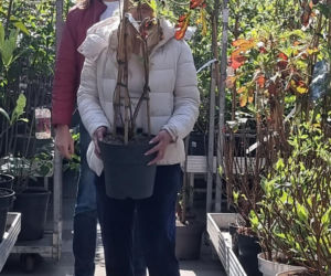 Monika Jarosińska robi sobie dżunglę