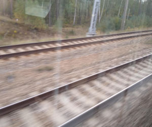 Radiowóz straży miejskiej utknął między szlabanami.  Skończyło się mandatem