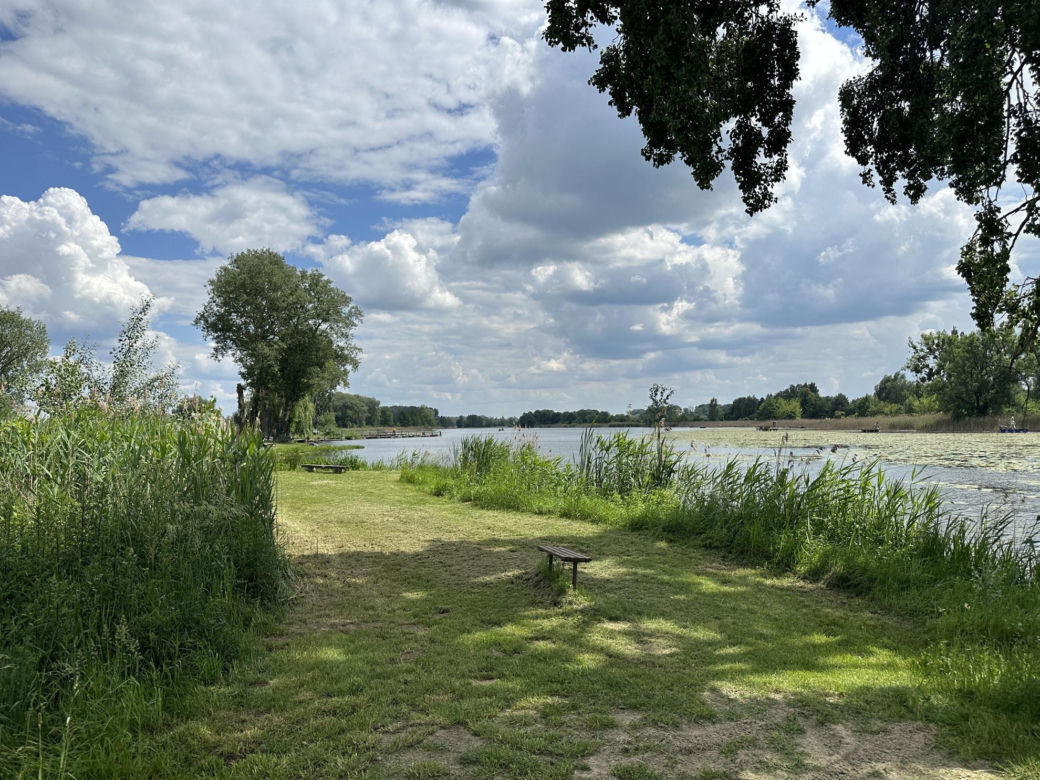Z jeziora wyłowiono ciało kobiety