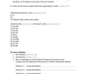 Matura 2022. Arkusz CKE - informatyka na poziomie rozszerzonym
