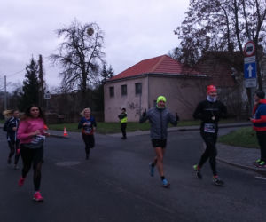 Po raz drugi pobiegli dla WOŚP w Toruniu! Ponad 200 uczestników