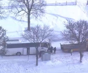 autobus3