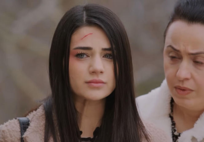 Miłość i nadzieja, odcinek 361. Bahar, Cavidan