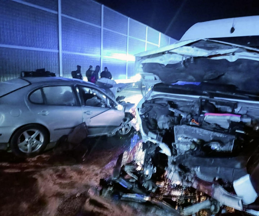 Dramat na S11 pod Poznaniem. Pijany Hindus wjechał pod prąd!