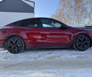 Model Y (Performance)