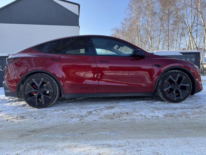 Model Y (Performance)