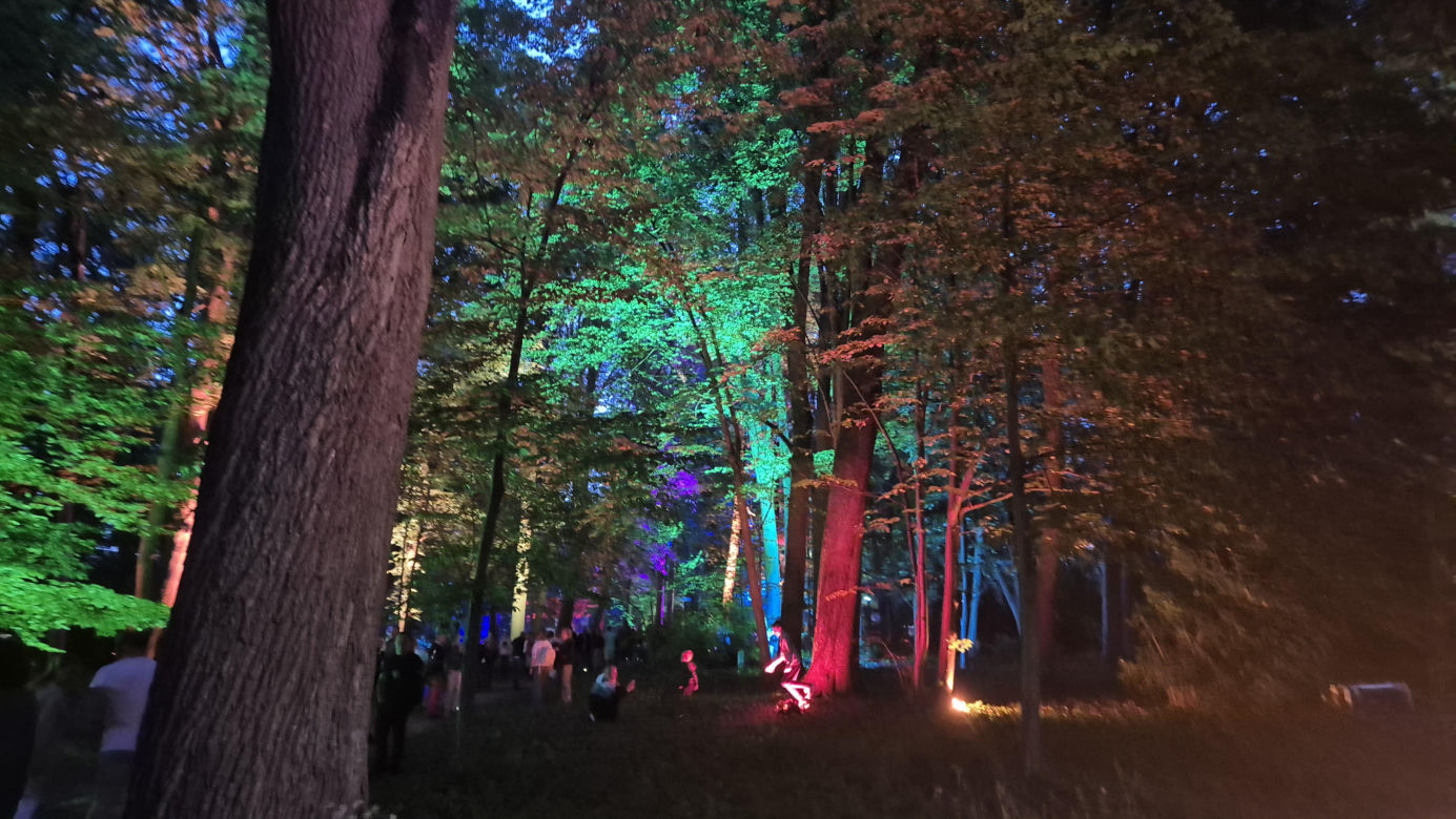 Olsztyn zamienił się w magiczną krainę. Park Świateł przyciągnął tłumy!
