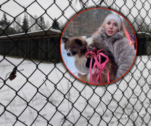 Marianna Schreiber na proteście w obronie zwierząt. Schronisko w Sobolewie zamknięte. Weszliśmy obywatelsko siłą. 