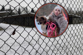 Marianna Schreiber na proteście w obronie zwierząt. Schronisko w Sobolewie zamknięte. Weszliśmy obywatelsko siłą. 