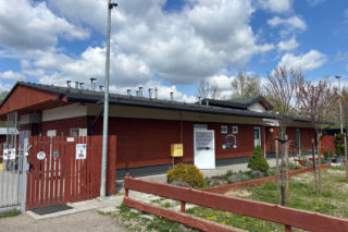 Schronisko szuka wolontariuszy do wyprowadzania psów na spacery 