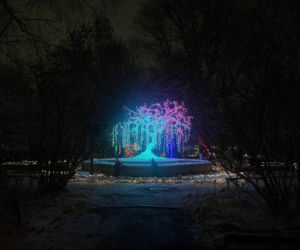 MagicznyBotaniczny 2025/2026 w Warszawie