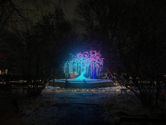 MagicznyBotaniczny 2025/2026 w Warszawie