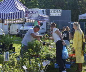 Weekend pełen smaków i tradycji! Gdynia zaprasza na 33. Dary Ziemi