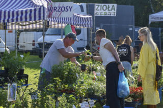 Weekend pełen smaków i tradycji! Gdynia zaprasza na 33. Dary Ziemi