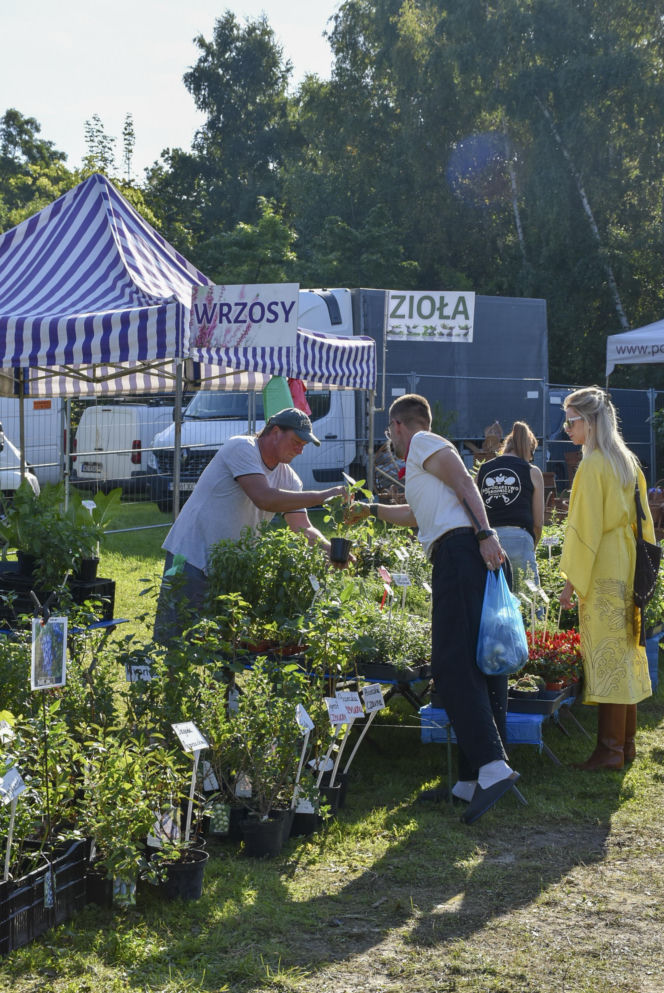 Weekend pełen smaków i tradycji! Gdynia zaprasza na 33. Dary Ziemi