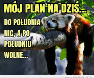 Majówka 2020 - zapamiętamy ją na długo!
