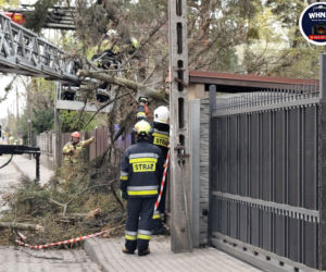 Interwencje Strażaków przy likwidacji szkód spowodowanych przez gwałtowny wiatr i burze