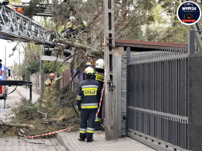 Interwencje Strażaków przy likwidacji szkód spowodowanych przez gwałtowny wiatr i burze