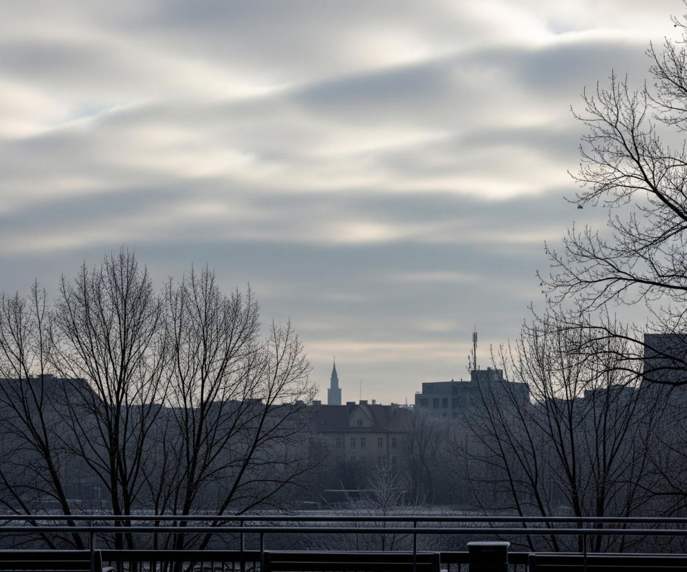 Dwa bezlistne drzewa o ciemnych, nagich gałęziach dominują po prawej stronie kadru oraz w jego lewej, dolnej części, tworząc wyraźne sylwetki na tle nieba i zabudowy miejskiej. Za nimi rozciąga się miejski krajobraz z licznymi budynkami o różnych kształtach i wysokościach, w tym spiczasta wieża kościoła oraz budynek z anteną na dachu, wszystkie skąpane w szaroburej tonacji. Nad miastem i drzewami rozciąga się dynamiczne niebo, z długimi, horyzontalnymi smugami chmur, które są szare z jaśniejszymi, niemal białymi pasmami. W dole widoczne są fragmenty balustrady, sugerujące, że zdjęcie zostało wykonane z podwyższonej perspektywy, takiej jak balkon lub most.