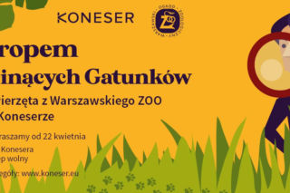 Tropem Ginących Gatunków – zwierzęta z Warszawskiego ZOO w Koneserze! [DATA, BILETY]