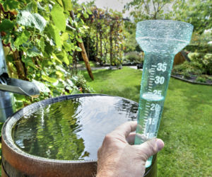 Ceny zbiorników na wodę deszczową 2026: producenci vs markety