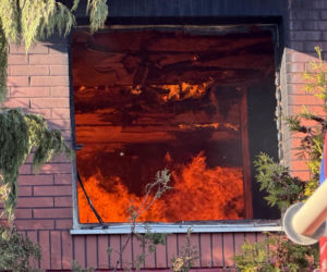 Seria groźnych pożarów pod Warszawą